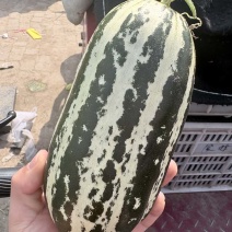 博洋九甜瓜大量现货，对接全平台电商多多仓