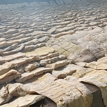 福建建瓯烟熏笋干
