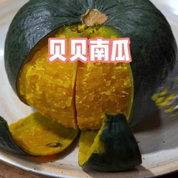 惠和一号贝贝南瓜