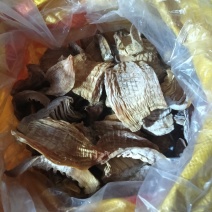 桂东野生竹笋笋干