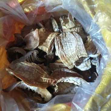 桂东野生竹笋笋干