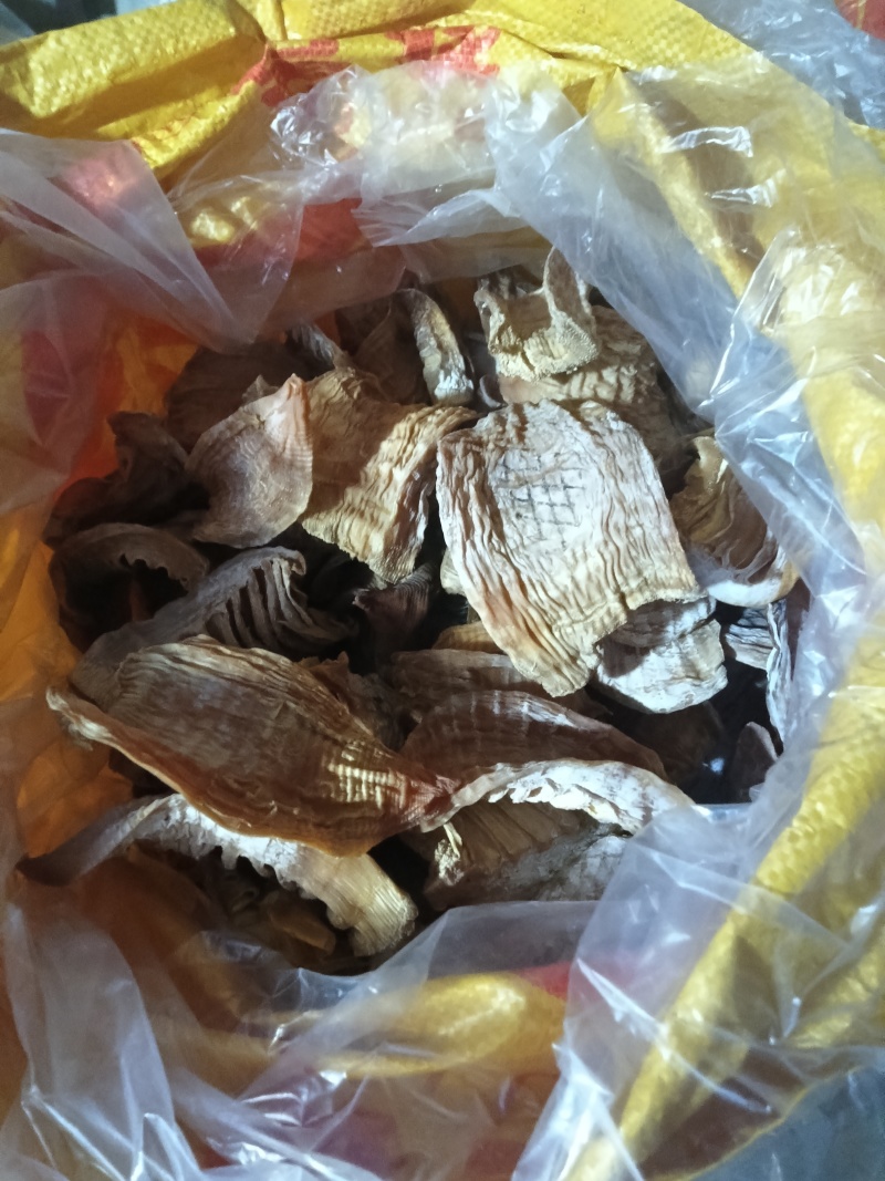 桂东野生竹笋笋干