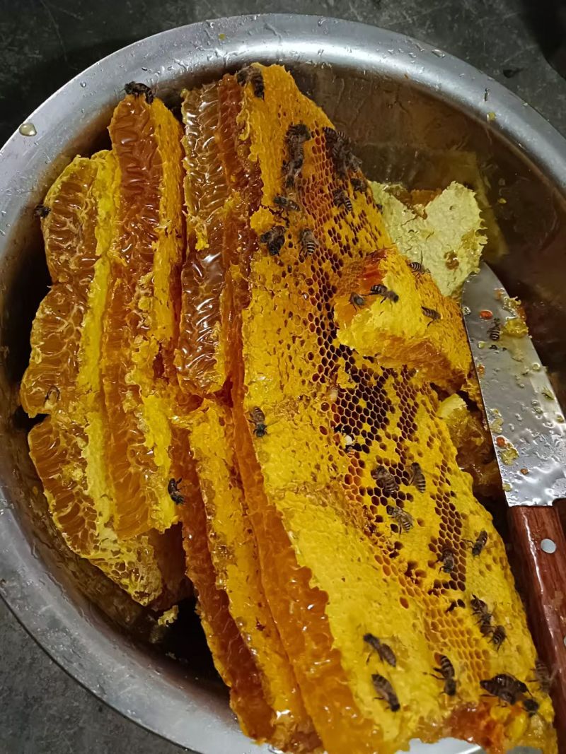 广西野生蜂蜜假一赔十广西的蜂蜜