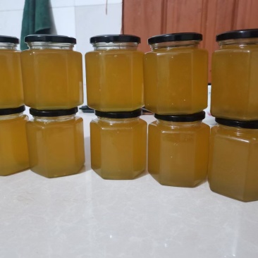 广西野生蜂蜜假一赔十广西的蜂蜜