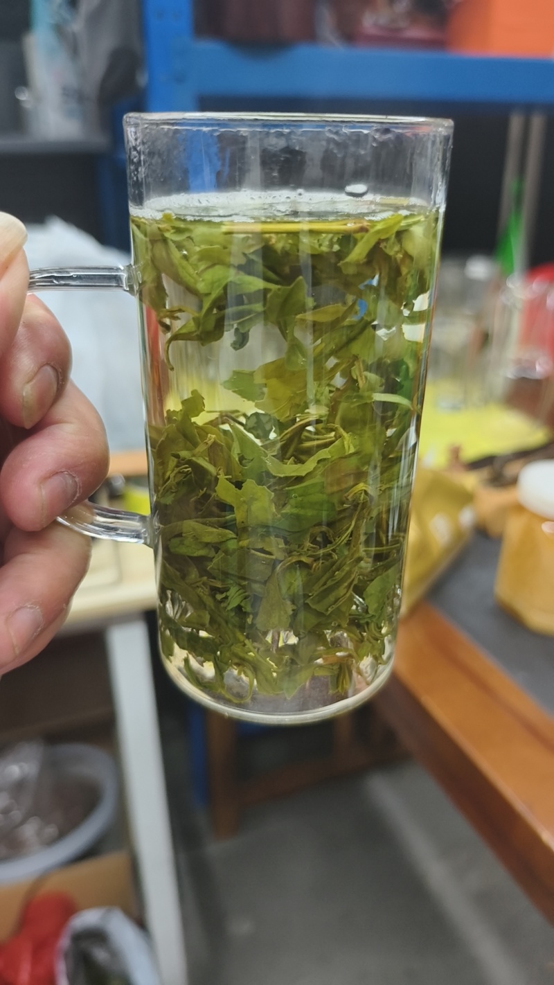 云雾茶电商精品货汤清味浓干茶包香有5000斤