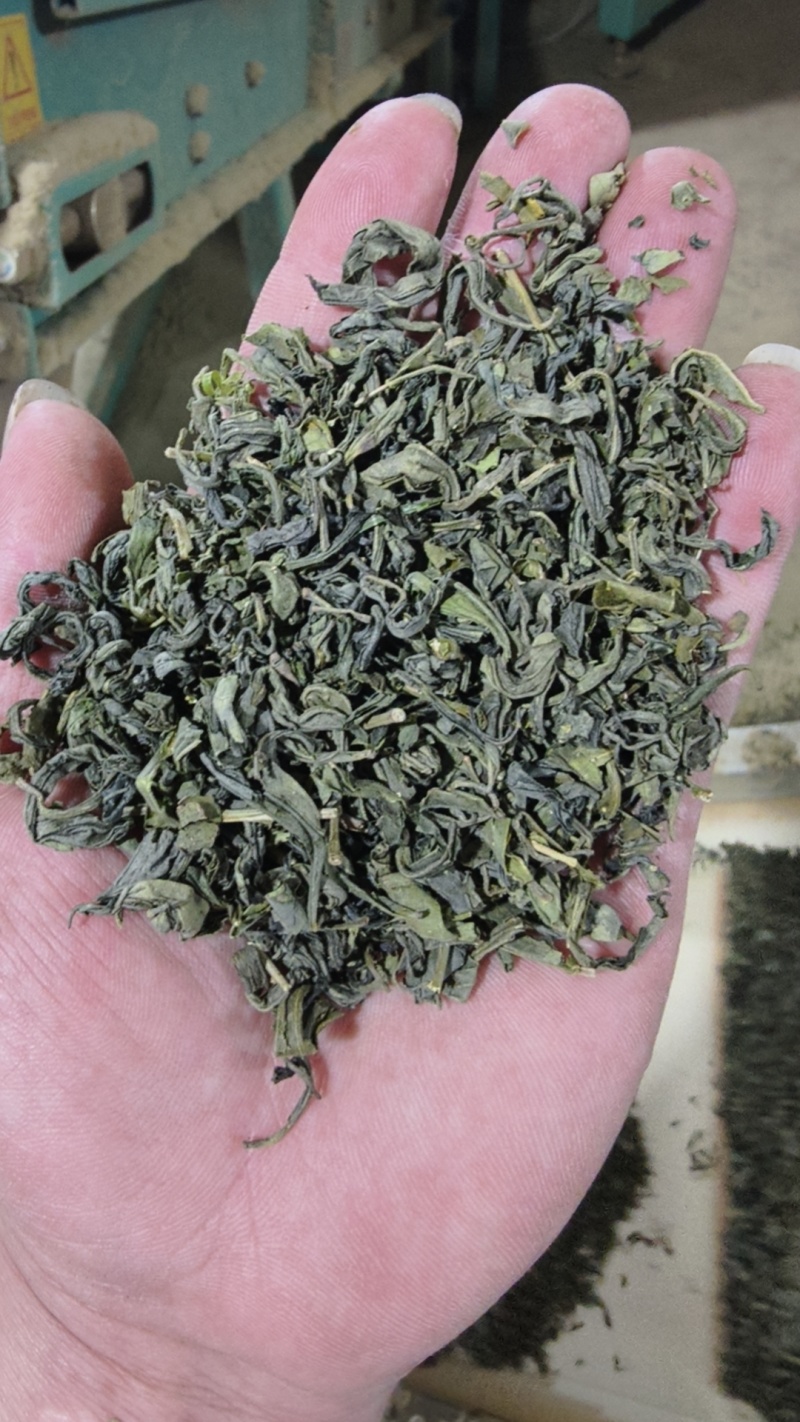 云雾茶电商精品货汤清味浓干茶包香有5000斤
