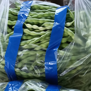 肉豆