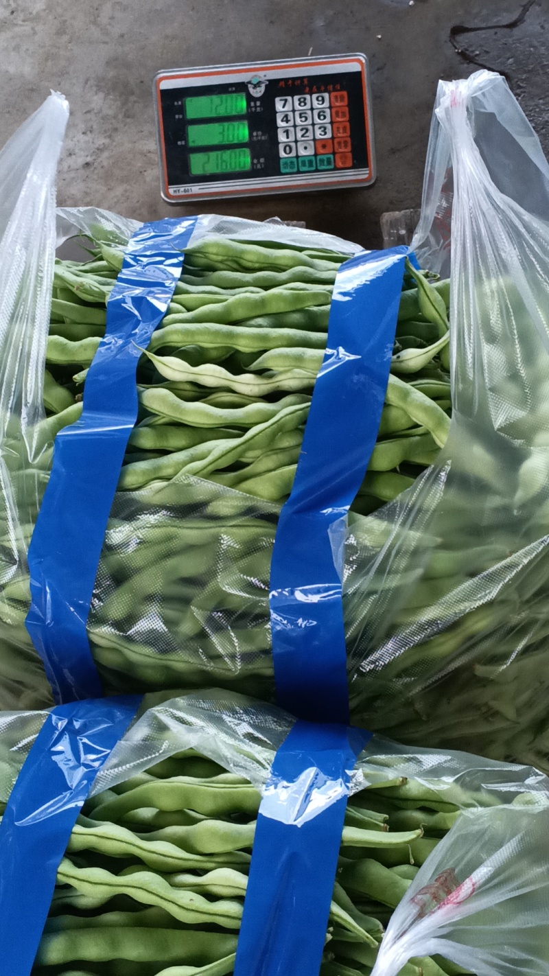 肉豆