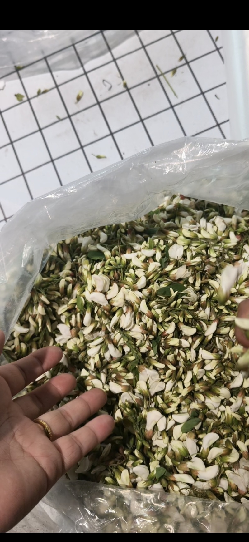 洋槐花