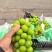 阳光玫瑰葡萄