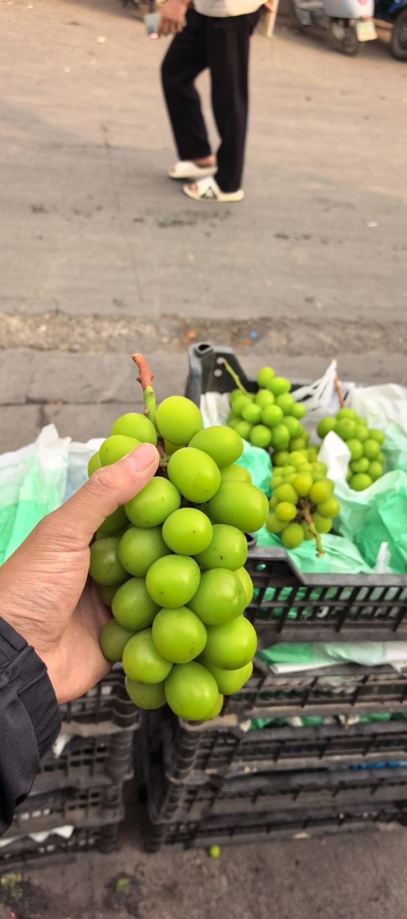 阳光玫瑰葡萄