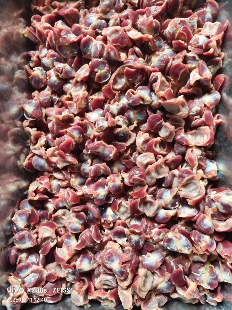 鸽子胗质量杠杠好