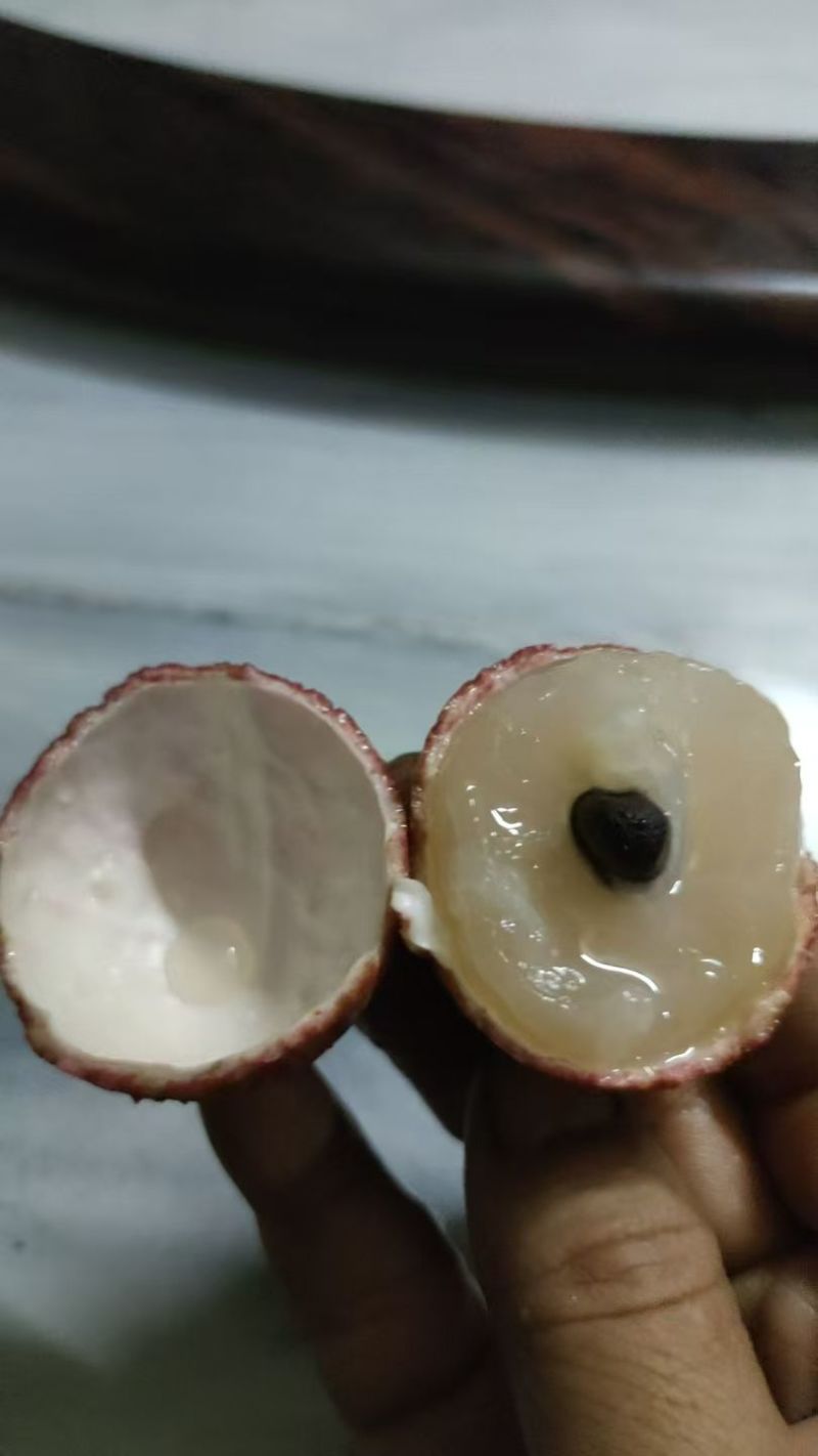广西钦州浦北县妃子笑，荔枝王，鸡嘴，仙进奉等各种荔枝