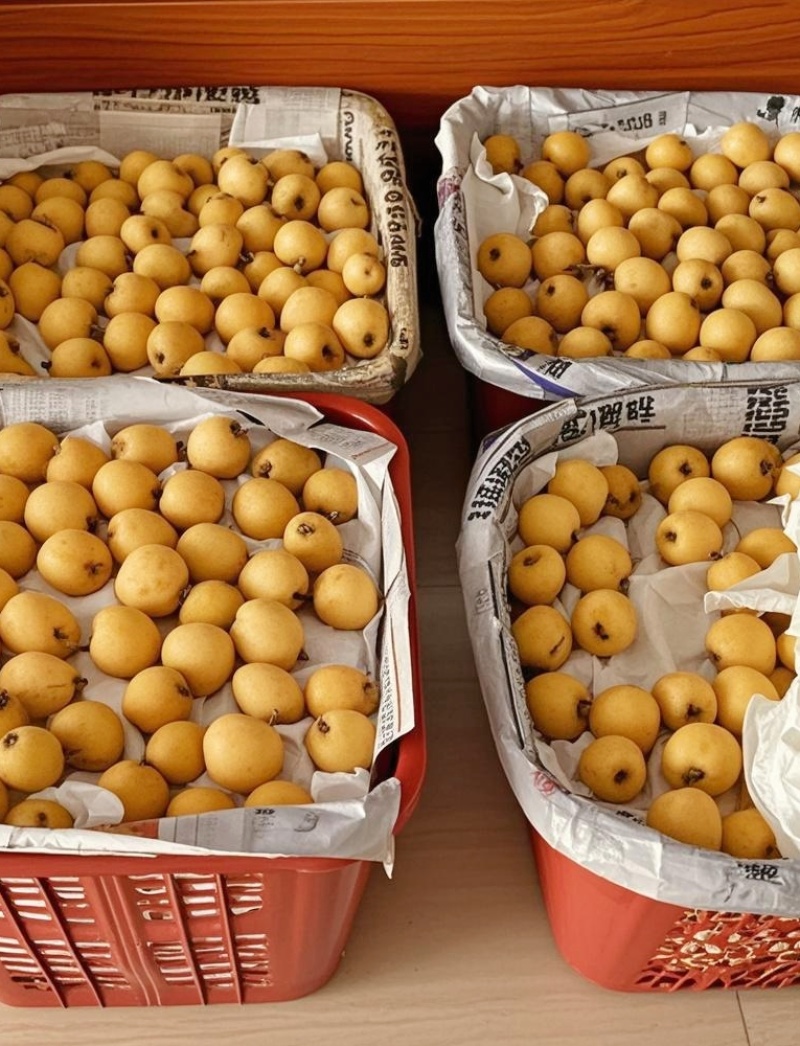 白梨枇杷