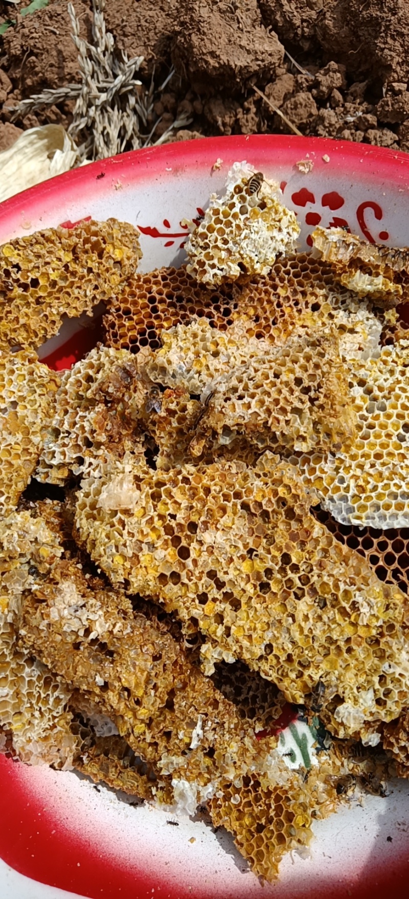 土蜂蜜