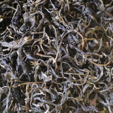 毛茶生茶