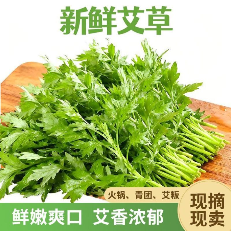 鲜嫩艾草现采现发冰袋保鲜清明草糍粑米果青团艾叶艾草叶新鲜嫩叶