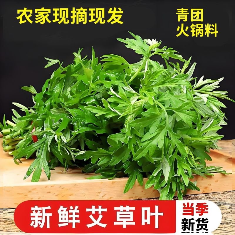 鲜嫩艾草现采现发冰袋保鲜清明草糍粑米果青团艾叶艾草叶新鲜嫩叶