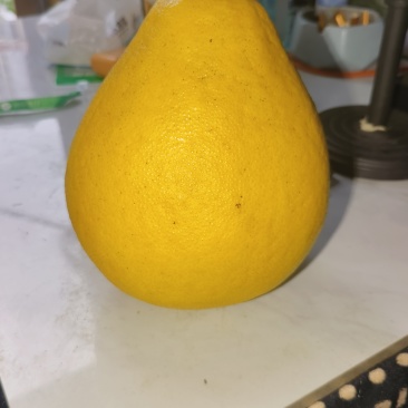 江永香柚