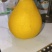 江永香柚