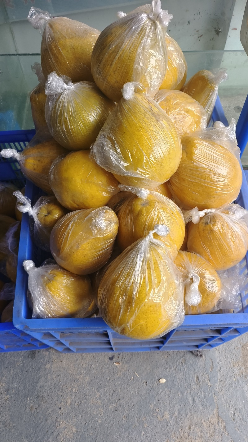 江永香柚