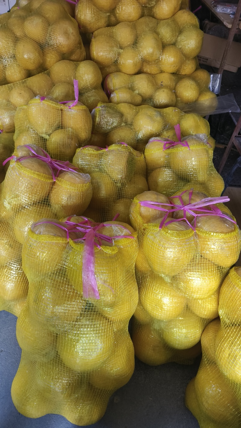 江永香柚
