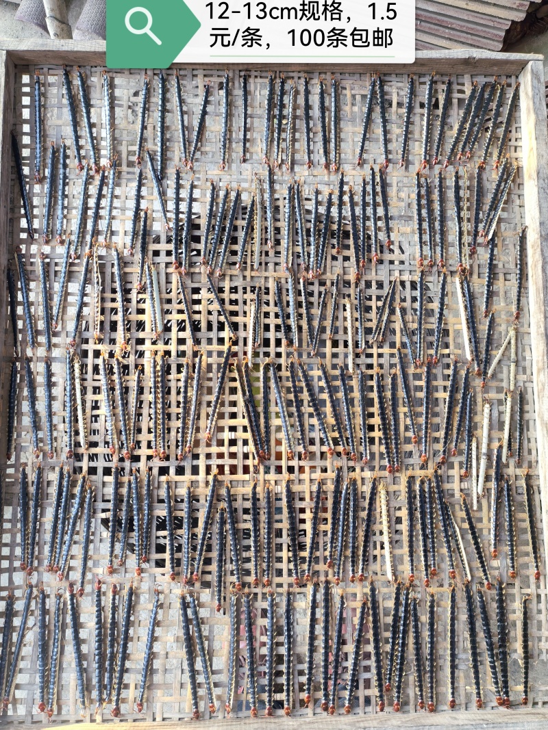 12-13cm1.5/条，100条包邮
