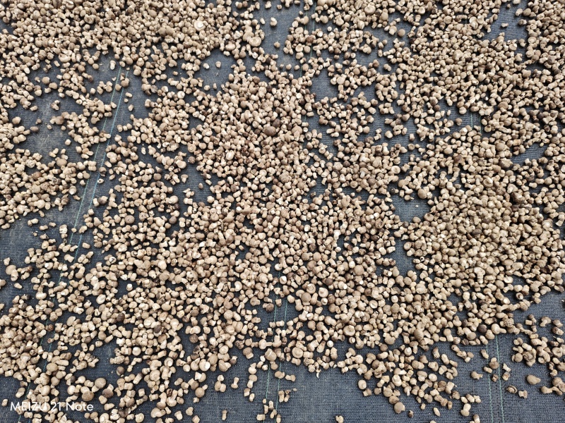 香菇干菜菇菇丁