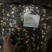 羊肚菌4-65-76-8头茬厚肉六妹