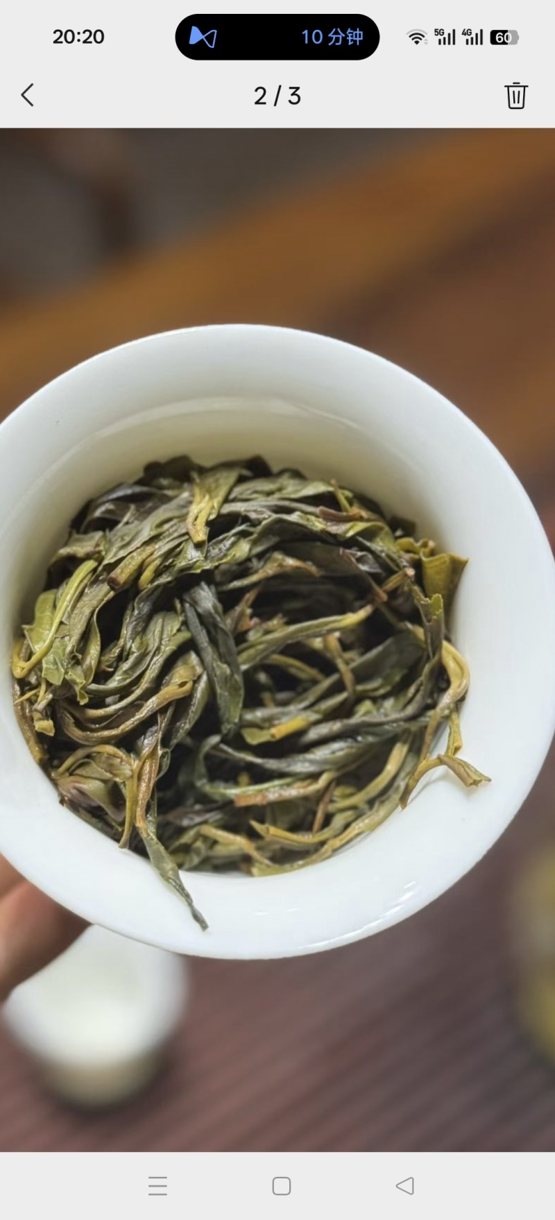 乔木小树茶