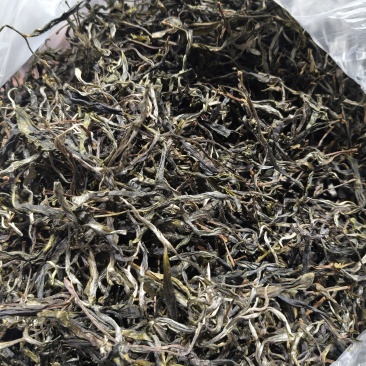 乔木小树茶