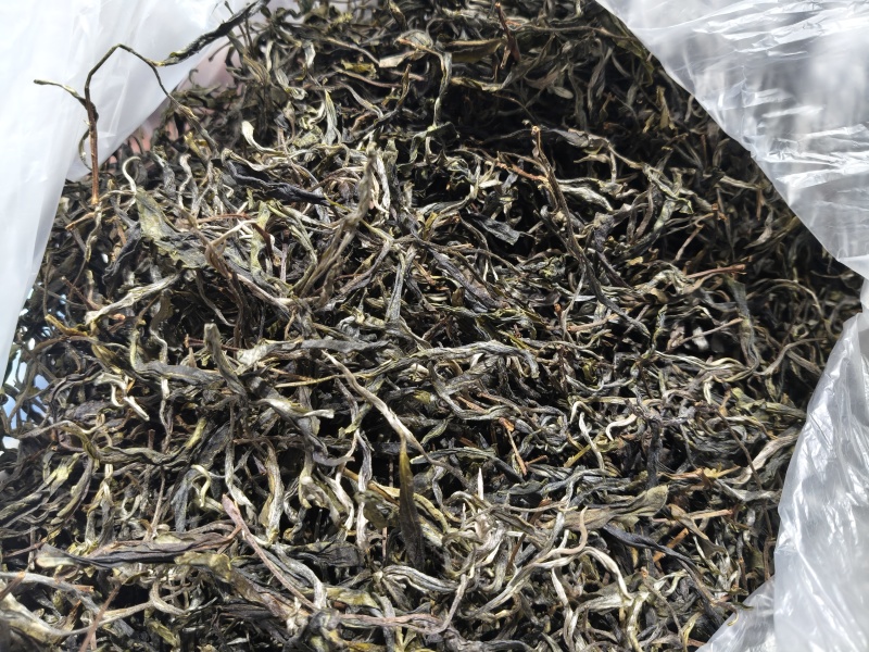 乔木小树茶