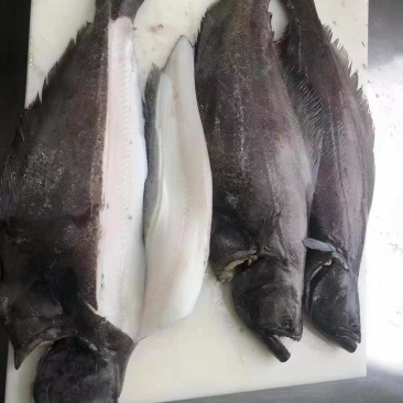 30斤装格林兰去脏鲽鱼