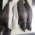 30斤装格林兰去脏鲽鱼