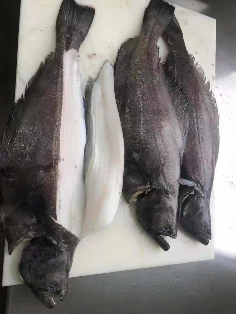 30斤装格林兰去脏鲽鱼