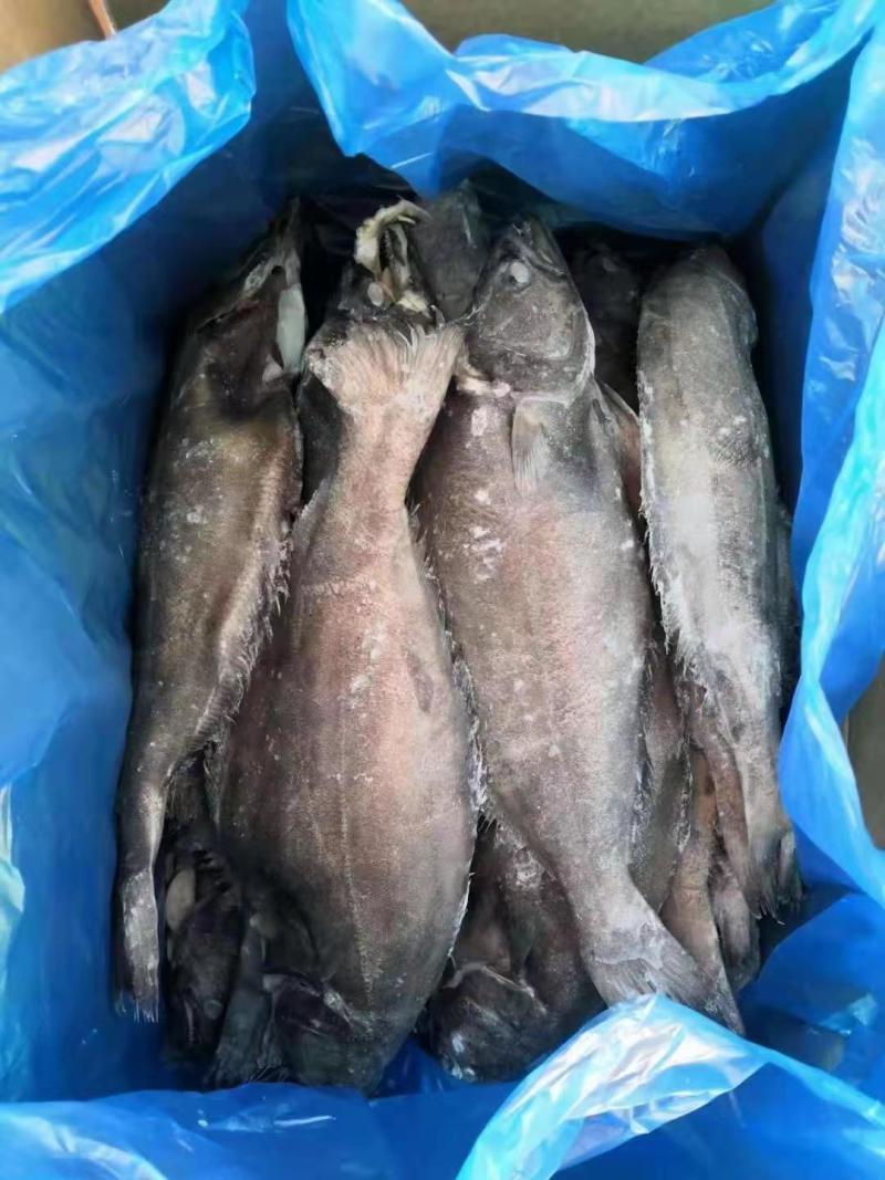 30斤装格林兰去脏鲽鱼