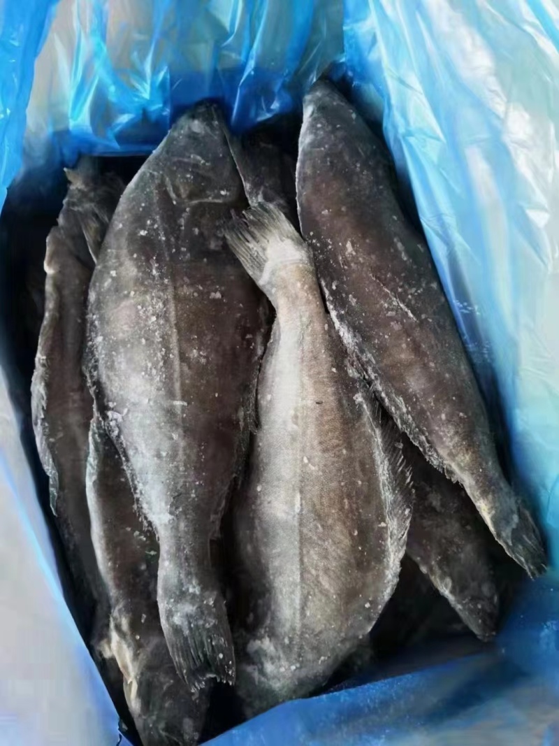 30斤装格林兰去脏鲽鱼
