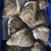 格林兰鲽鱼头