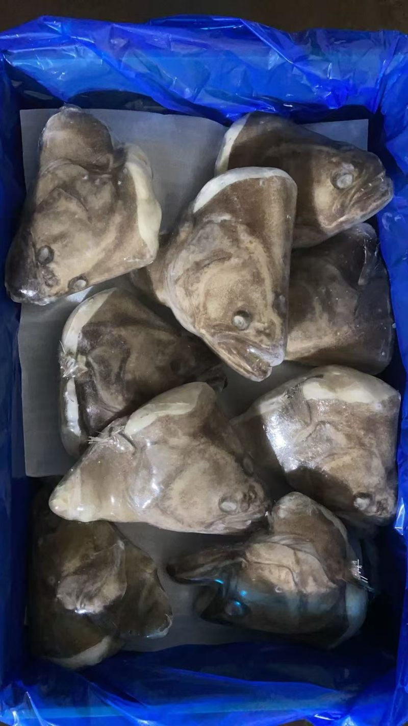 格林兰鲽鱼头