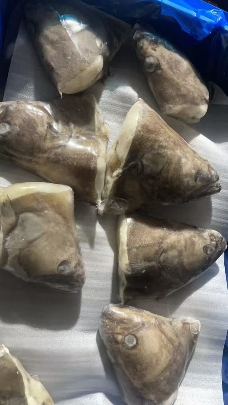 格林兰鲽鱼头