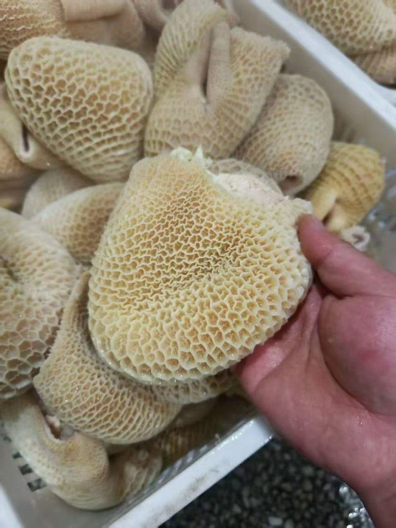 水煮熟牛肚厂家直销量大从优