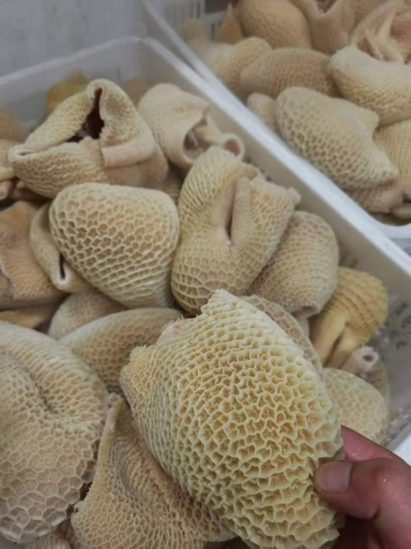 水煮熟牛肚厂家直销量大从优