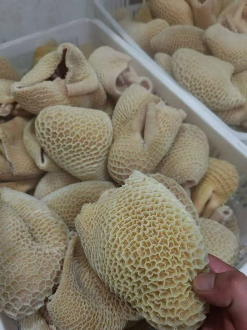 水煮熟牛肚厂家直销量大从优