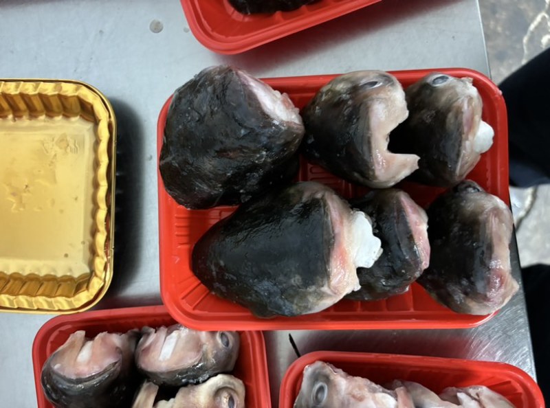 鱼头大量供应