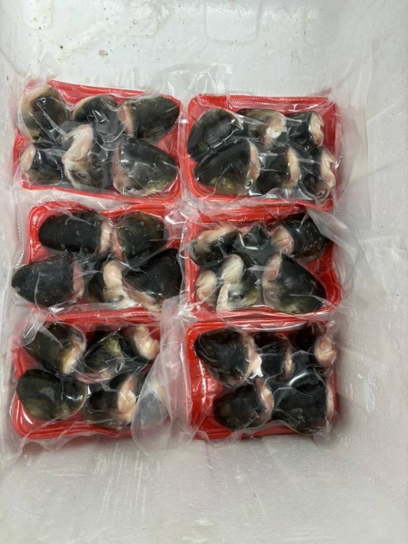 鱼头大量供应