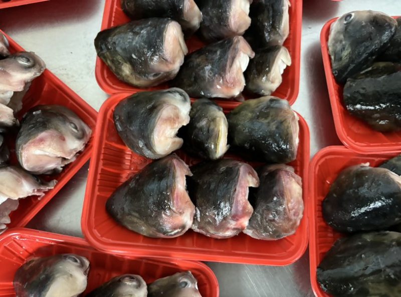 鱼头大量供应