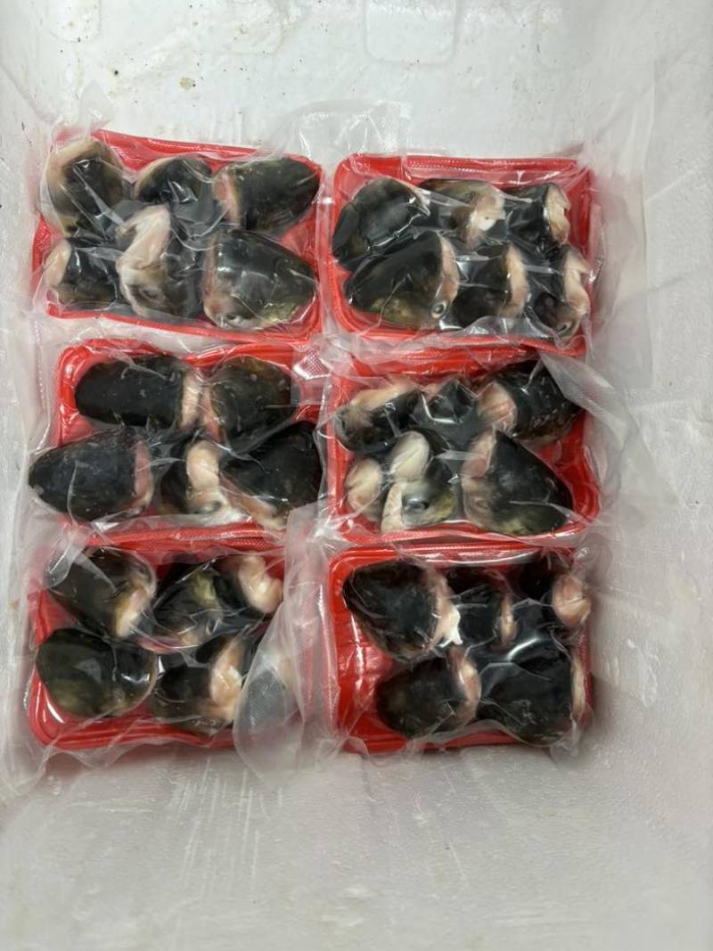 鱼头大量供应