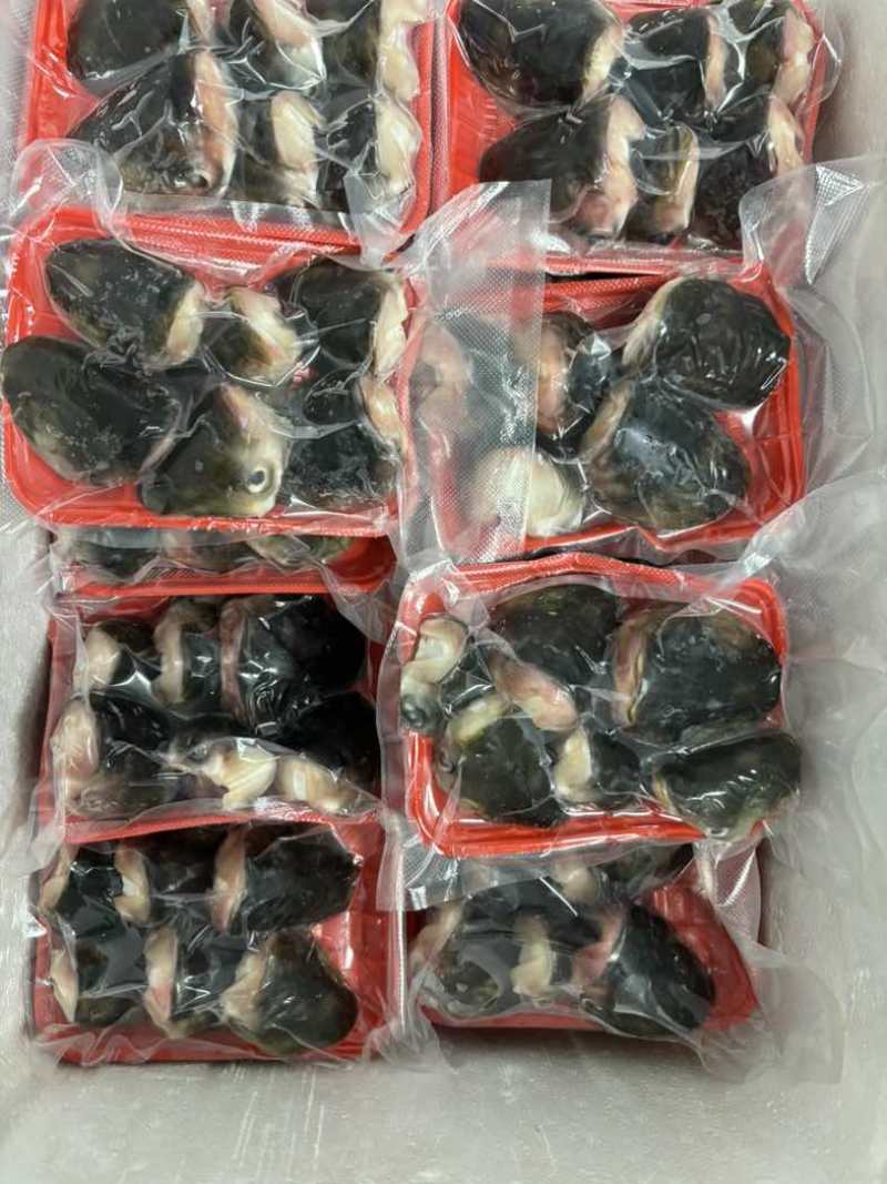 鱼头大量供应