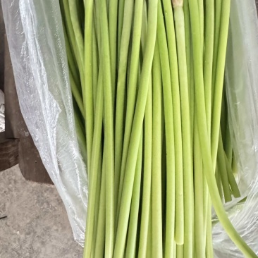 徐州蒜苔，价格便宜，有需要的老板联系
