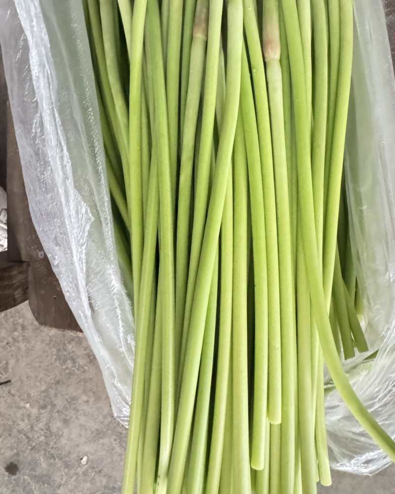 徐州蒜苔，价格便宜，有需要的老板联系
